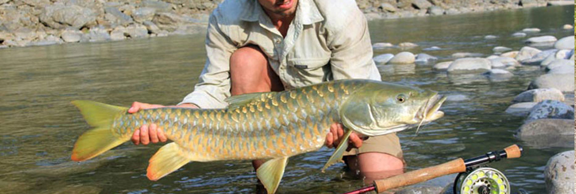 Jim Corbett Fish Catching Tour