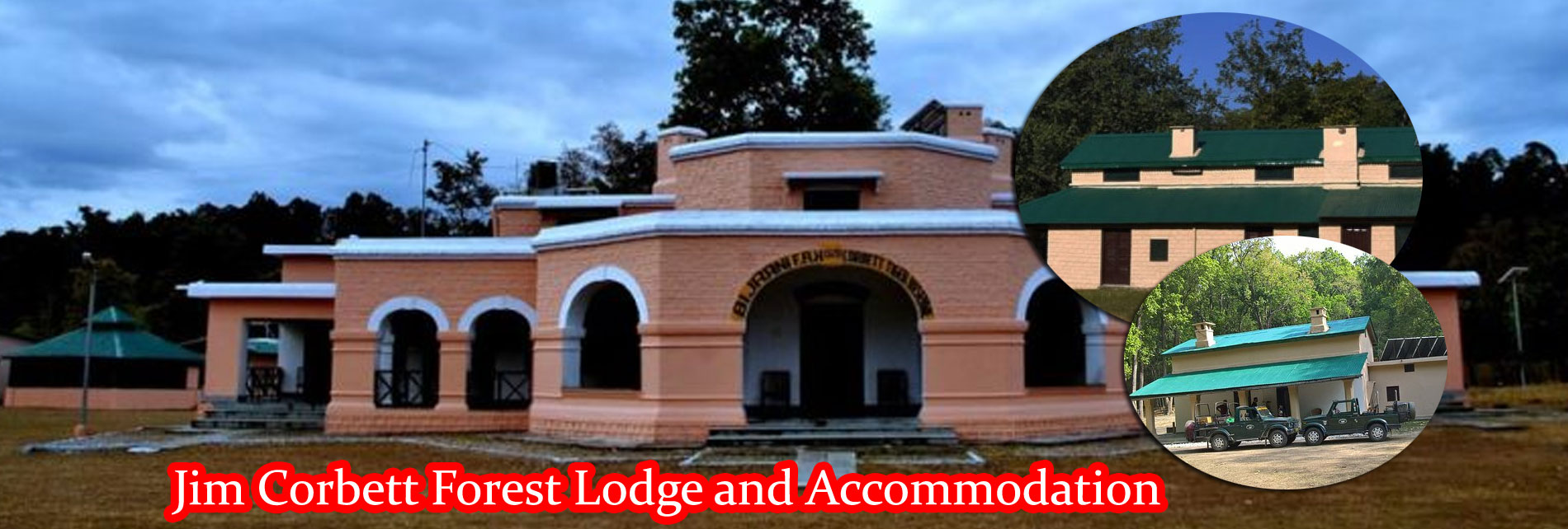 Jim Corbett Forest Lodge and Accommodation