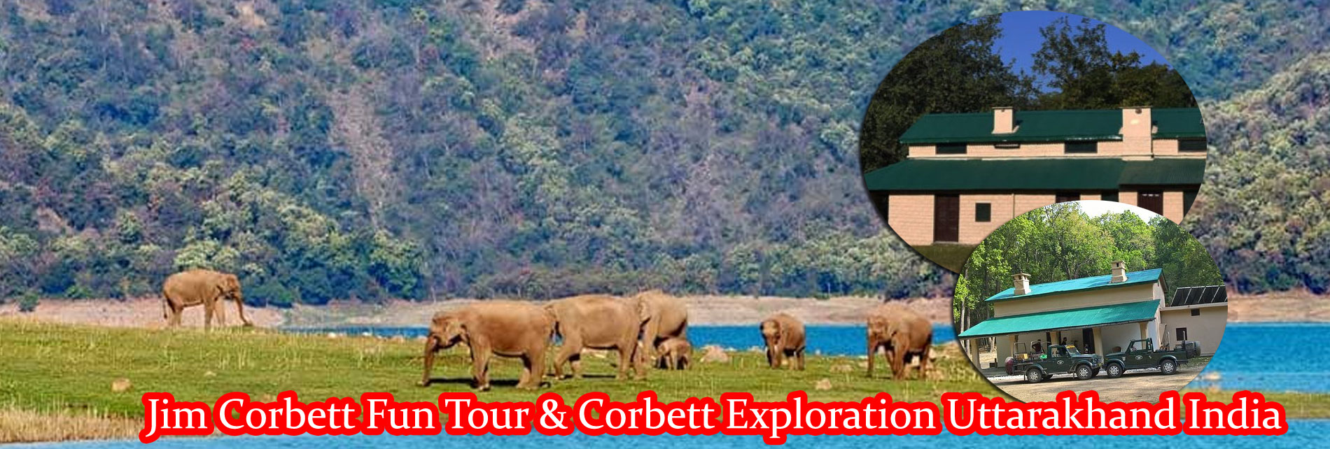 Jim Corbett Fun Tour & Corbett Exploration Uttarakhand India