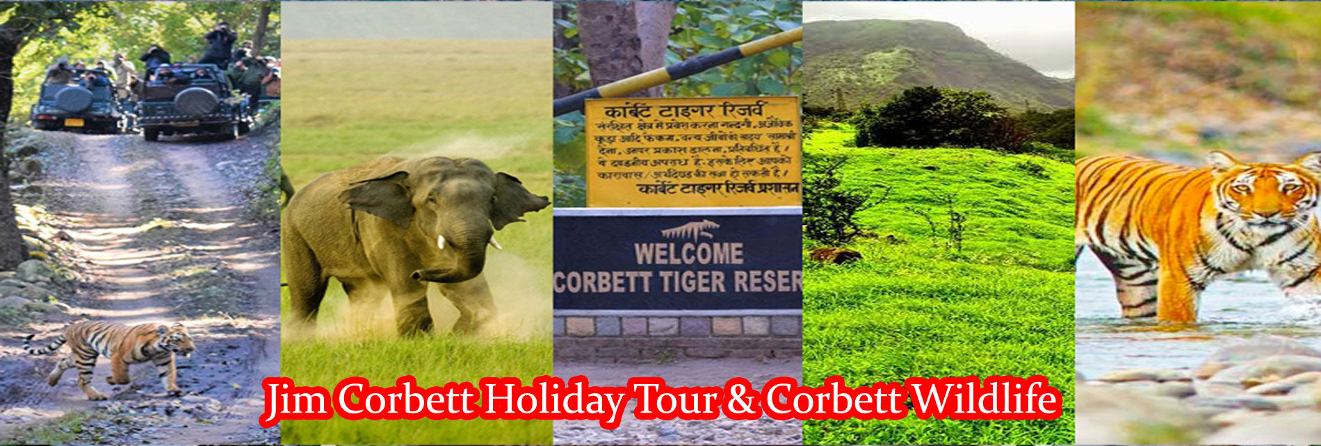 Jim Corbett Holiday Tour & Corbett Wildlife